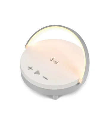 اسپیکر اورجینال شارژ وایرلس ارلدام wc 28