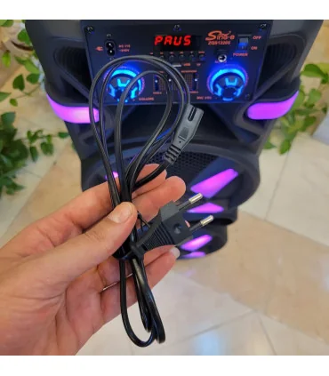 اسپیکر چمدانی قابل حمل غول پیکر zqs 12205 برق مستقیم + شارژی