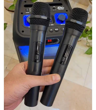 اسپیکر قابل حمل چمدانی حرفه ایی zqs-10208