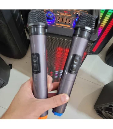 اسپیکر چمدانی حرفه ایی dpus-1017