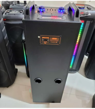 اسپیکر چمدانی حرفه ایی dpus-1017