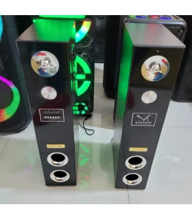 اسپیکر دو تیکه برقی ونوس PV-SB600