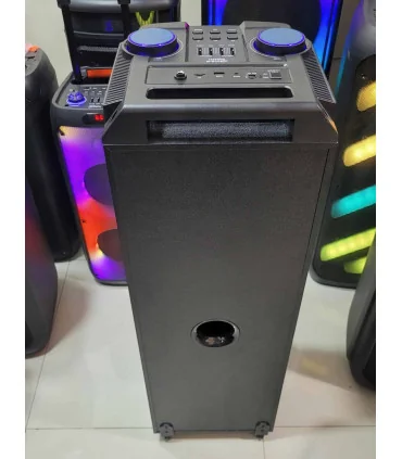 اسپیکر ایستاده حرفه ایی zqs 8231