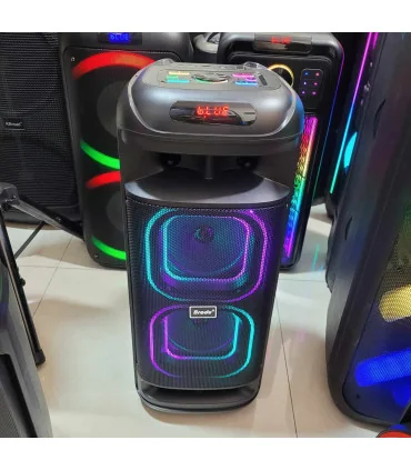 اسپیکر بلوتوثی قابل حمل حرفه ایی برودو bts 2261