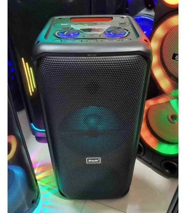 اسپیکر حرفه ایی برودو bts 2225