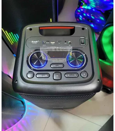 اسپیکر حرفه ایی برودو bts 2225