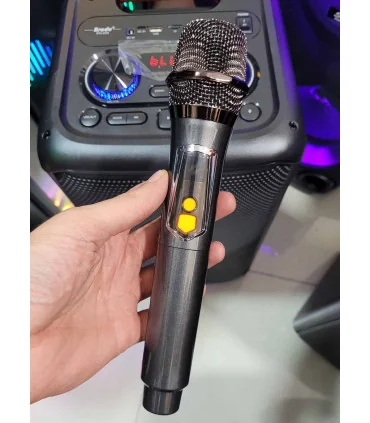 اسپیکر حرفه ایی برودو bts 2225
