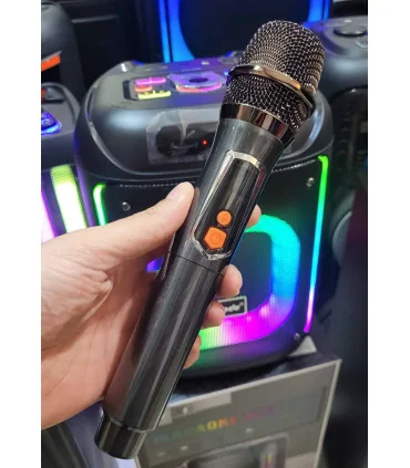 اسپیکر بوم باکس حرفه ایی برودو bts-2286