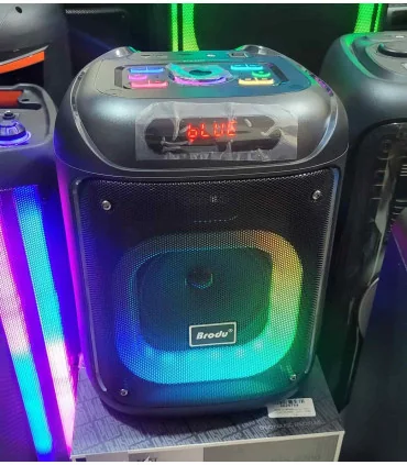 اسپیکر بوم باکس حرفه ایی برودو bts-2286