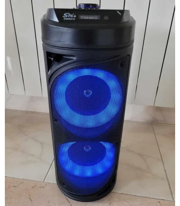 اسپیکر قابل حمل 13 اینچی zqs 6212