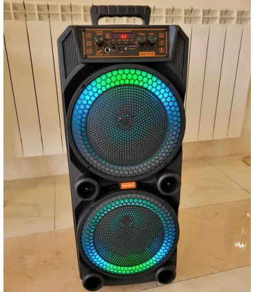 اسپیکر قابل حمل digivolt 1119