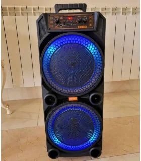اسپیکر قابل حمل digivolt 1119