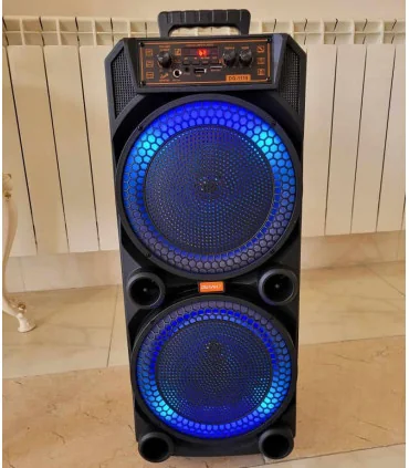 اسپیکر قابل حمل digivolt 1119