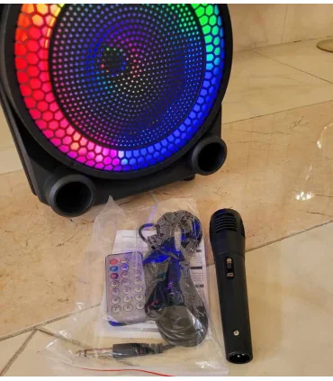 اسپیکر قابل حمل digivolt 1119