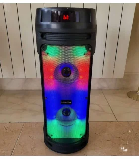 اسپیکر استوانه ای ZQS 6210 W