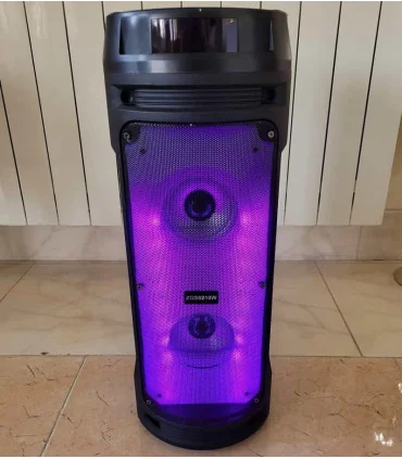 اسپیکر استوانه ای ZQS 6210 W