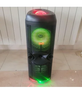 اسپیکر پارتی باکس DIGIVOLT 1062 ORG