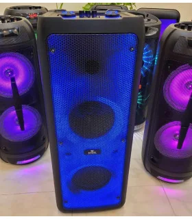 اسپیکر پارتی باکس قابل حمل حرفه ای ever 1010