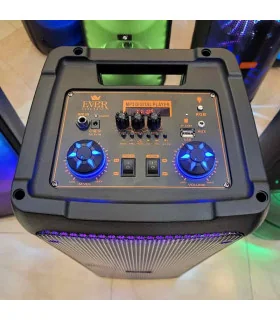 اسپیکر پارتی باکس قابل حمل حرفه ای ever 1010