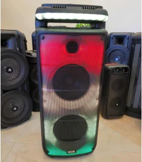 اسپیکر قابل حمل حرفه ایی extra bass ndr 898