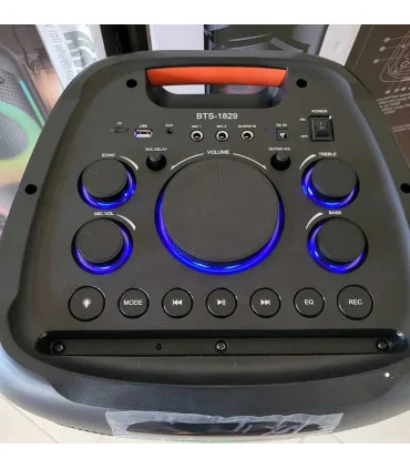 اسپیکر قابل حمل 20 اینچی bts 1829