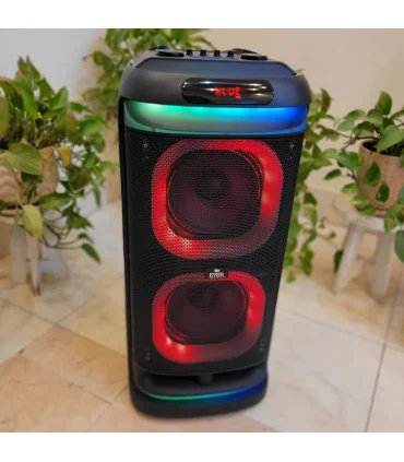 اسپیکر حرفه ایی ever 1900