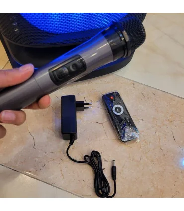 اسپیکر حرفه ایی ever 1900