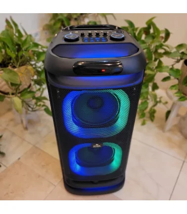 اسپیکر حرفه ایی ever 1900