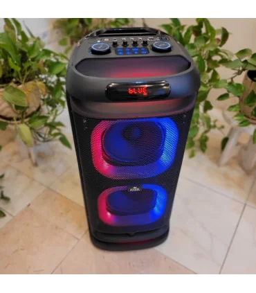 اسپیکر حرفه ایی ever 1900