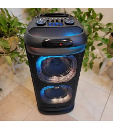 اسپیکر حرفه ایی ever 1900