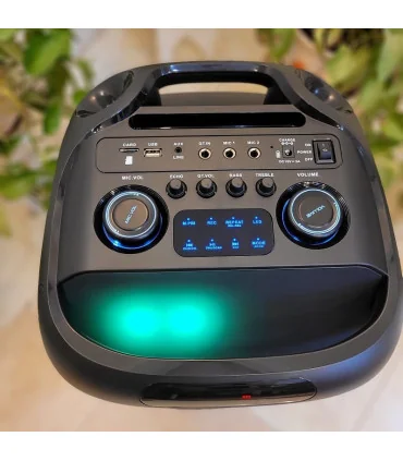 اسپیکر حرفه ایی ever 1900