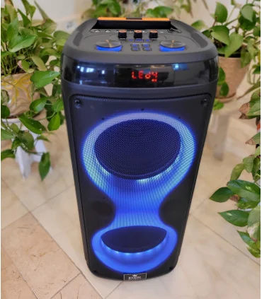 اسپیکر بلوتوثی قابل حمل ever 1901