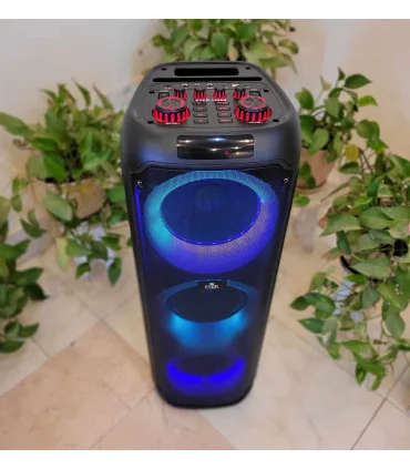 اسپیکر ever 1008 N سه ثاب حرفه ایی