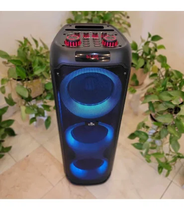 اسپیکر ever 1008 N سه ثاب حرفه ایی