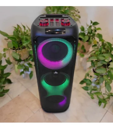 اسپیکر ever 1008 N سه ثاب حرفه ایی