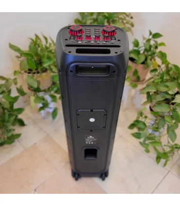 اسپیکر ever 1008 N سه ثاب حرفه ایی