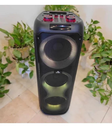 اسپیکر ever 1008 N سه ثاب حرفه ایی