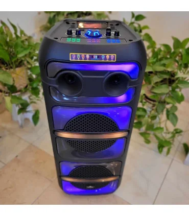 اسپیکر بلوتوثی برق مستقیم ever 1022 برقی شارژی