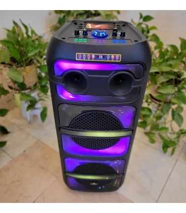 اسپیکر بلوتوثی برق مستقیم ever 1022 برقی شارژی