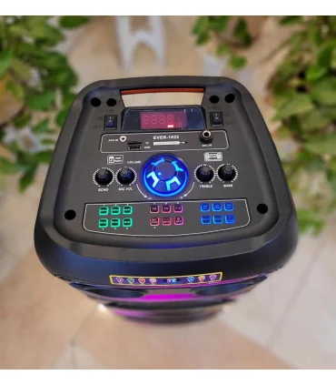 اسپیکر بلوتوثی برق مستقیم ever 1022 برقی شارژی