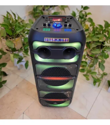 اسپیکر بلوتوثی برق مستقیم ever 1022 برقی شارژی